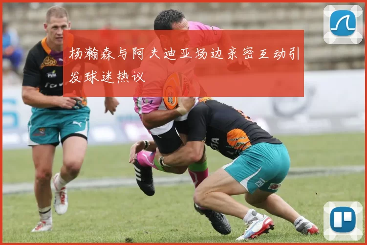 杨瀚森与阿夫迪亚场边亲密互动引发球迷热议